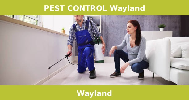 PEST CONTROL Wayland